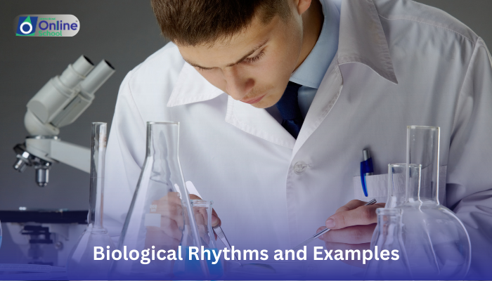 Lesson 04: Biological Rhythms and Examples